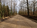 Allée en Sologne